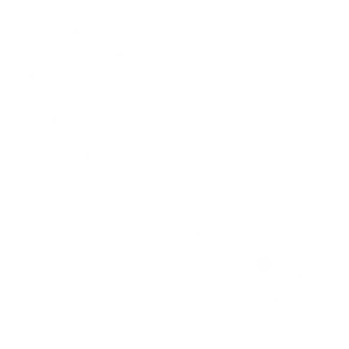 Logo euro blanc