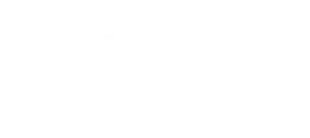 gecko design logo blanc